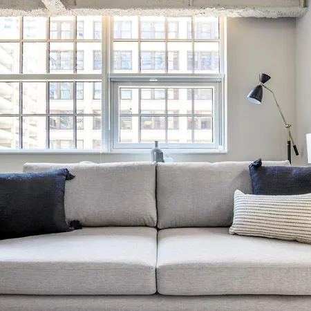 Loop 1br W Gym Roof Nr Millennium Park Chi-387