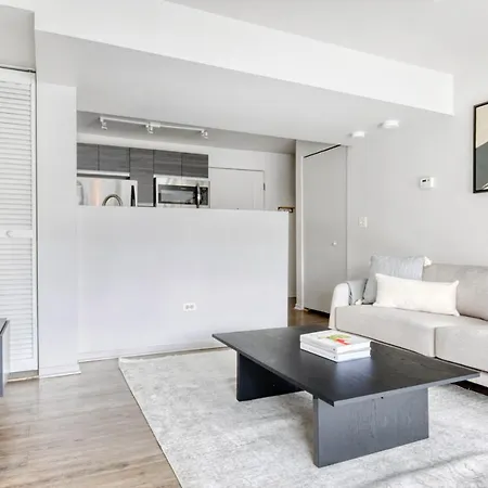Apartment Lovely S Loop Studio Nr L Grant Park Chi-598 Chicago