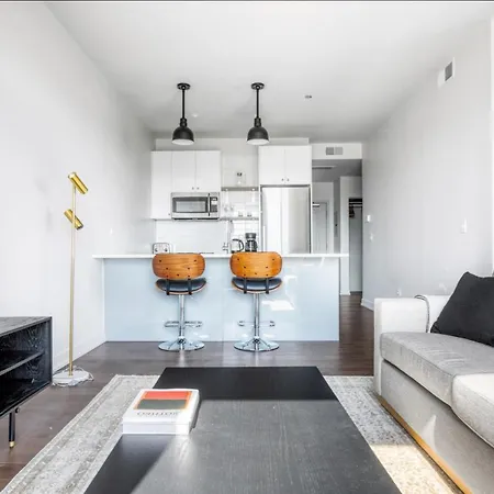 Apartment Ravenswood 1br W Rooftop Bbq Next To Brown Line Chi-399 Chicago