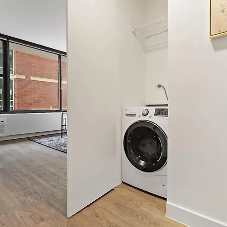 Upscale 1br With Sleek Kitchen & In-unit Laundry- Chestnut 15b * Chicago