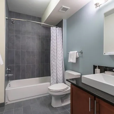 Loop 2br W Gym Pool Nr Financial District Chi-223 Apartment *