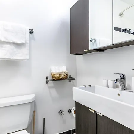 Gold Coast 1br Nr Mariano Park Oak St Chi-286 Apartment Chicago