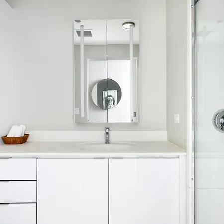 Loop 1br W Gym Roof Nr Millennium Park Chi-387 Apartment