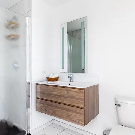 Apartment Lincoln Park W Wd Nr L New Chi-316 Chicago