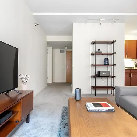 Apartment Loop 1br W Pool Gym Nr Financial District Chi-282 Chicago