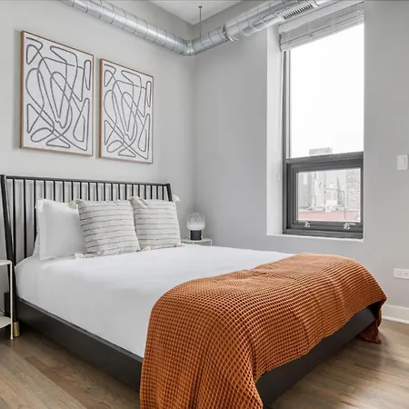W Town 2br 4 Blocks To L Wicker Park Bars Chi-546 Apartment