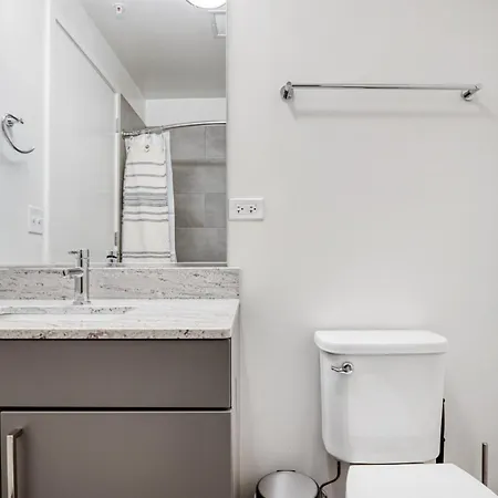 Apartment Logan Sq 1br W Roof Gym 1 Block To L Chi-473 Chicago