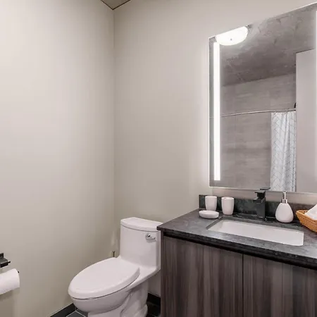 W Loop W Gym Pool Nr Fulton Mkt Chi-205 Apartment Chicago