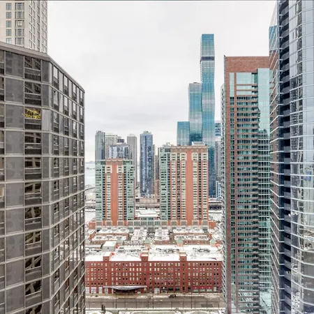 Apartment Streeterville Studio W Pool Dog Run Nr Beach Chi-582 Chicago