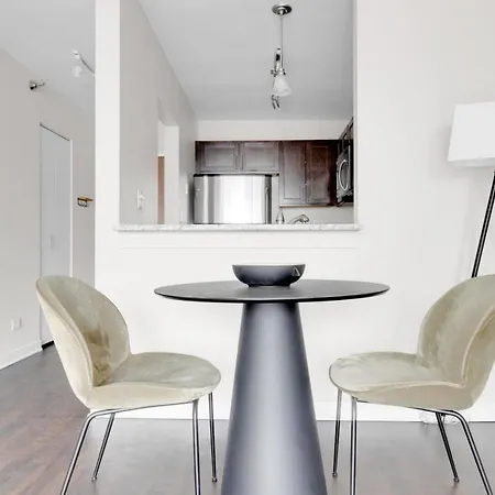 Apartment Streeterville Studio W Pool Dog Run Nr Beach Chi-582