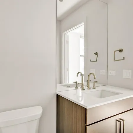 Loop 1br W Gym Roofdeck Nr Financial District Chi-201 Apartment *