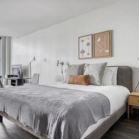 Apartment Loop Studio W Gym Wd Nr El Millennium Park Chi-466 *