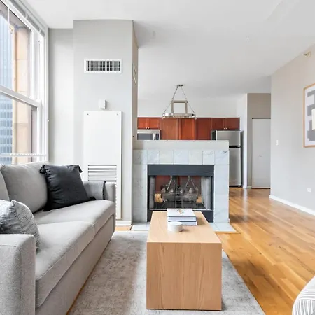 Loop 2br W Gym Doorman Same Block As L Chi-674 Chicago