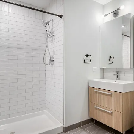 Apartment Loop Studio W Gym Wd Nr El Millennium Park Chi-466 *