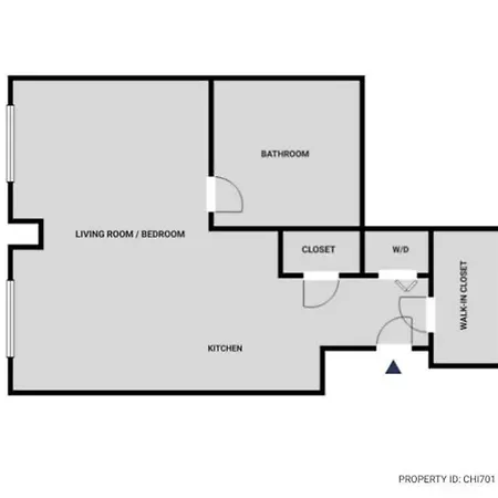 Loop W Gym Pool Lounge 1 Block From L Chi-701 Apartment Chicago