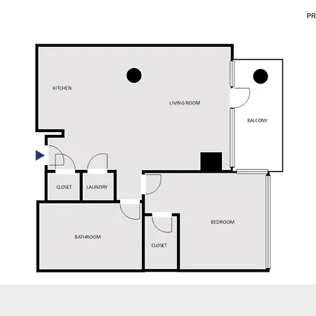 Lakeview 1br W Wd Gym Nr Lakefront Trail Chi-203 Apartment Chicago