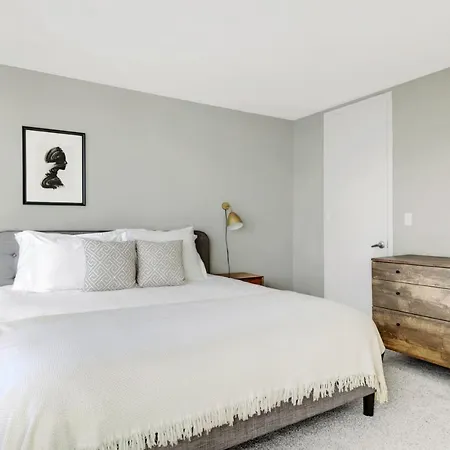 Gold Coast 3br W Gym Roof Nr Water Tower Chi-392 Chicago