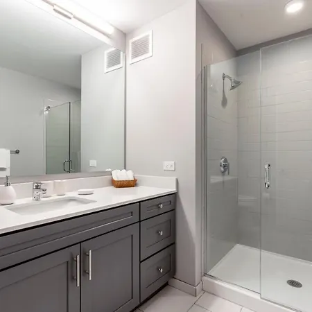 Lakeview 1br W Wd Gym Nr Lakefront Trail Chi-203