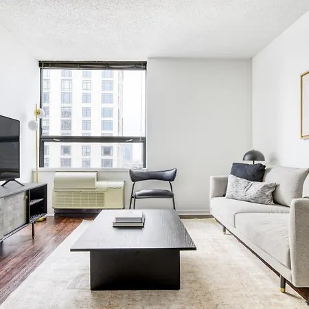 Apartment Streeterville 1br W Gym Pool Nr Navy Pier Chi-411 Chicago