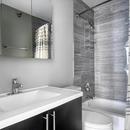 Gold Coast 2br W Gym Lounge 1 Block To L Chi-801 Chicago