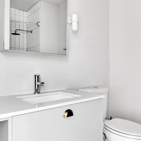 River N 3br W Gym Rooftop Nr L Park Chi-324 Apartment Chicago