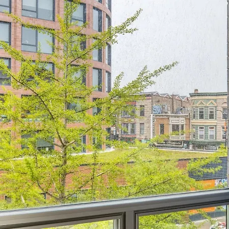 Apartment Lakeview 1br W Wd Near Lakefront Chi-938 Chicago