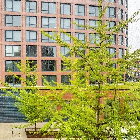 Lakeview 1br W Wd Near Lakefront Chi-938 * Chicago