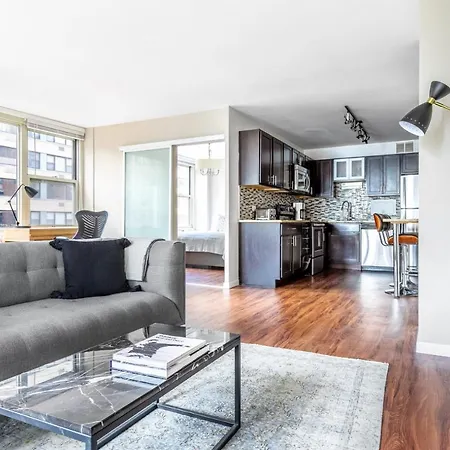 Gold Coast 3br W Gym Roof Nr Water Tower Chi-391 Apartment Chicago