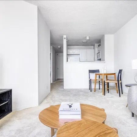 Streeterville 1br W Gym Pool Nr Navy Pier Chi-408 Apartment