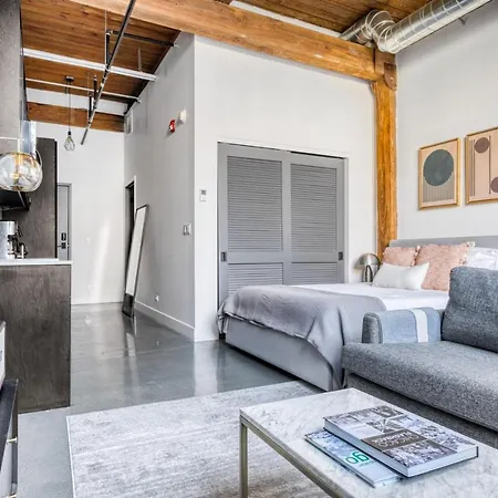 Lincoln Park W Lounge Gym Nr Depaul Chi-569 Apartment *