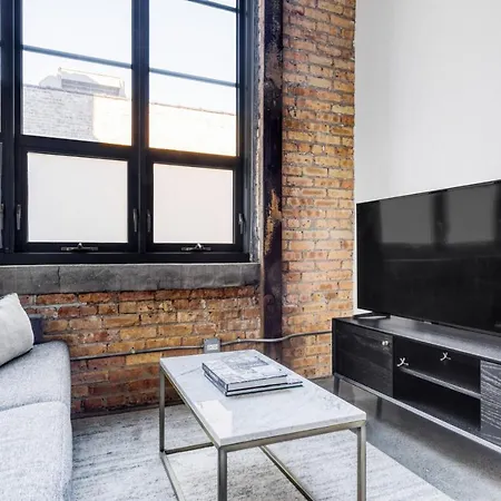 Lincoln Park W Lounge Gym Nr Depaul Chi-569 Apartment Chicago