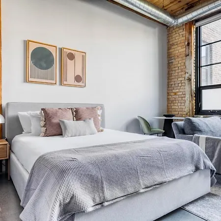 Lincoln Park W Lounge Gym Nr Depaul Chi-569 Apartment Chicago
