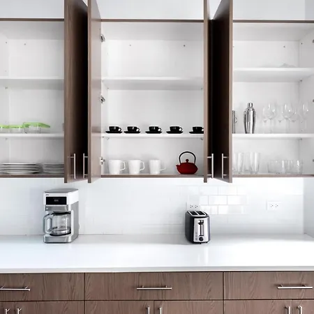 W Town 3br Nr Blue Line Wicker Park Chi-344 *
