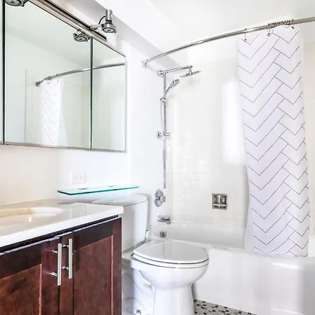 Gold Coast 3br W Gym Roof Nr Water Tower Chi-391 Chicago