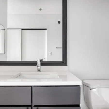 S Loop 1br W Gym Lounge 1 Block To L Chi-528 Apartment Chicago