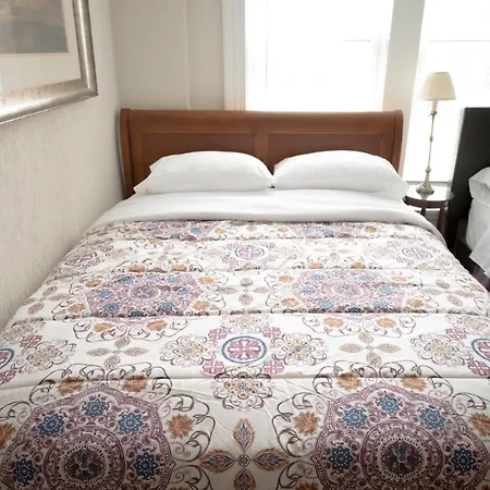 Sleeps 10-20 Free Tv & Parking Apartment *