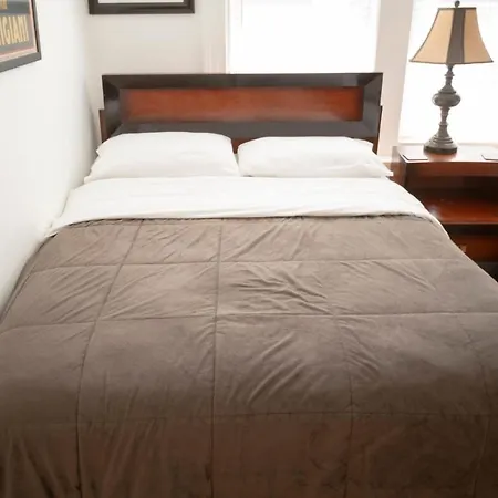 Stone Mansion Sleeps 10-20 Free Tv & Parking Apartment