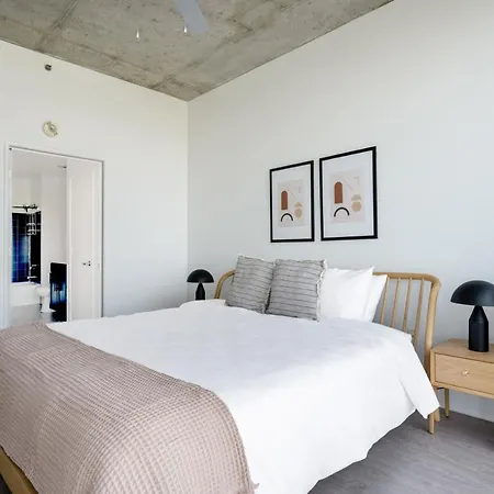 Apartment South Loop 1br W Gym Roof Nr Grant Park Chi-769 Chicago