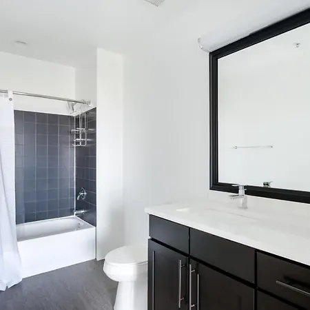 South Loop 1br W Gym Roof Nr Grant Park Chi-769 * Chicago