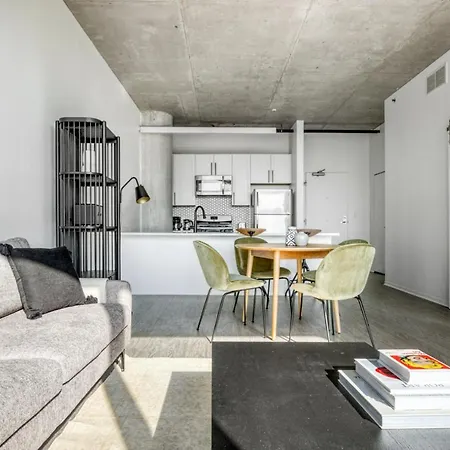 Apartment S Loop 1br W Roof Gym Lounge 1 Block To L Chi-442 Chicago