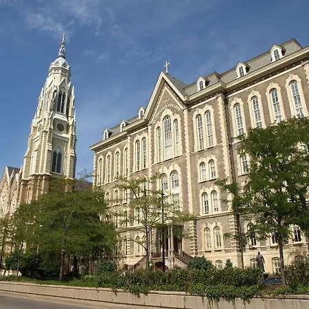 Apartment Bella On Taylor Street Chicago's Little Italy 1 Mile West The Loop & Uic Chicago