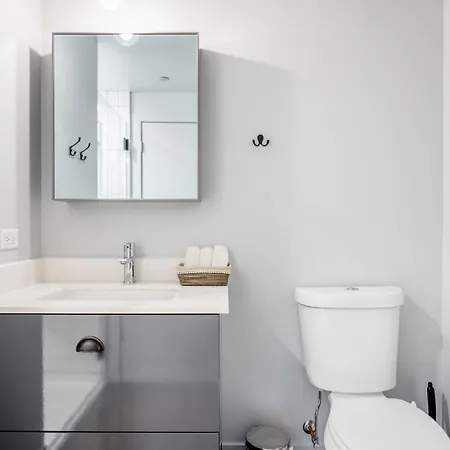 River N 1br W Gym Pool Nr L Stop Chi-358 Apartment Chicago