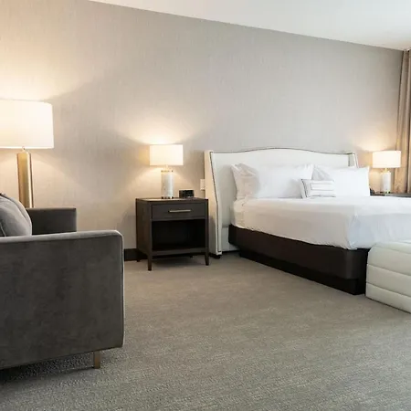 Hotel Springhill By Marriott Chinatown Chicago