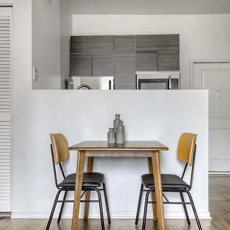 South Loop 1br Nr L Grant Park Chi-807 Chicago