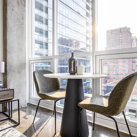 River N 1br W Gym Pool Nr L Stop Chi-363 Apartment Chicago