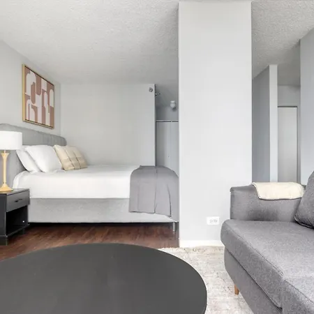Apartment Streeterville Studio W Gym Pool Nr Navy Pier Chi-448
