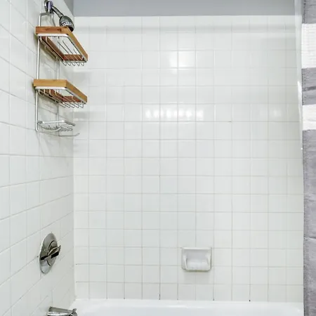Streeterville Studio W Gym Pool Nr Navy Pier Chi-448 Apartment Chicago