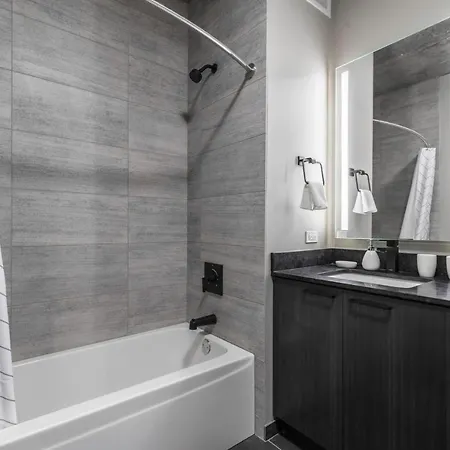 W Loop 1br W Gym Pool Wd Nr Fulton Mkt Chi-213 Apartment *