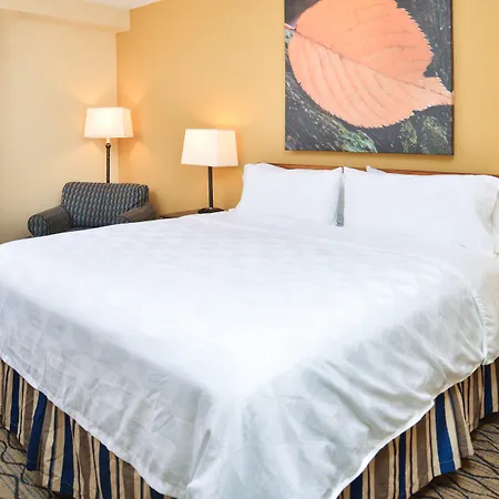 & Chicago-downtown By Ihg 3*