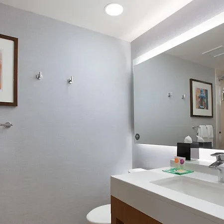 Hotel Hyatt Place Chicago-south/university Medical Center